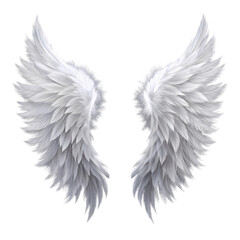 Obraz premium White Angel Wings Soft Feathers Dark Background Elegant Design Graphic Resource art holy hope love 