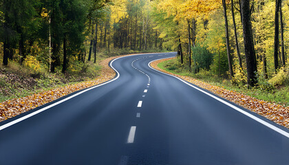 Fototapeta premium Beautiful view of asphalt road going through autumn forest top view