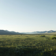 Fototapeta premium panoramic view of Jade Valley featuring a wide open meadow, distant mountains, and a clear sky