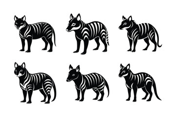 Tasmanian Tiger (Thylacinus cynocephalus) – extinct mammal animal, labeled silhouette vector art illustration.