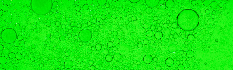 Macro microscope green bubble texture, Close-up Green bubbles and drops oil background . green green water bubbles, close up golden oil drop for cosmetic.