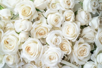 Natural floral background with bouquet of white roses. Professional photo