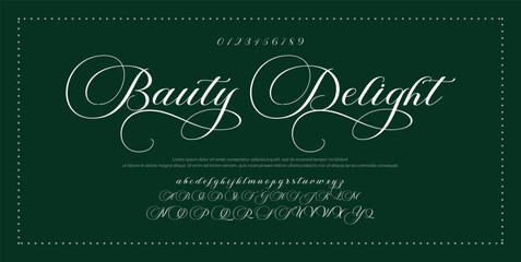 Hand drawn vector alphabet. Modern monoline signature script font. Elegant Signature Font. Best Alphabet Beautiful Calligraphy Signature Font