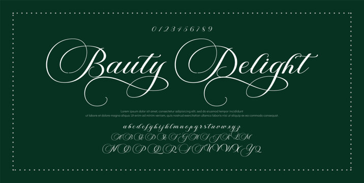 Hand drawn vector alphabet. Modern monoline signature script font. Elegant Signature Font. Best Alphabet Beautiful Calligraphy Signature Font