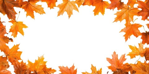 Fototapeta premium Horizontal frame featuring vibrant orange autumn leaves arranged around a blank white center, conveying a warm, seasonal ambiance.