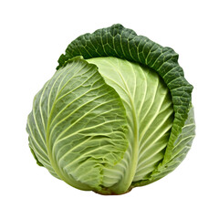 Fototapeta premium cabbage isolated on transparent background