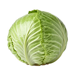 cabbage isolated on transparent background