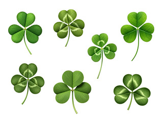 Variety of Clover Leaves: Vibrant Three and Four Leaf Clover Collection on white background