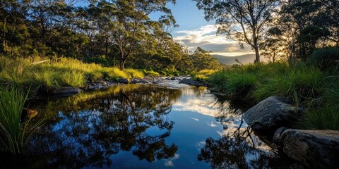 Obraz premium Tranquil creek scene with lush green grass on both banks, rocky edges, and vibrant reflections of trees and sky in calm water at sunset