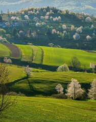 Picturesque spring meadow with blooming cherry tree. Spring paradise with blooming trees. Historic agrarian landscape, Hrinovske lazy, Slovak republic. Travel destination. Seasonal natural scene.  © Ivan