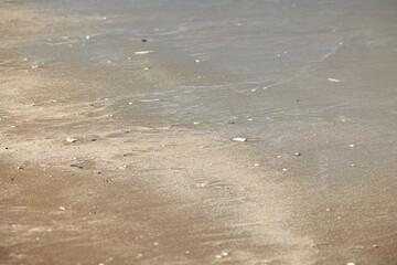 Views while walking on the beach in Portmarnock, on a windy spring day, Ireland