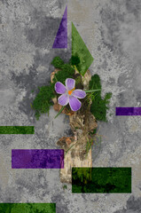 Surprising abstraction: photo mixed with graphics, violet flower, moss, rectangles and triangles on...