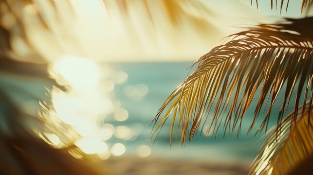 Tropical sunset glow, beach palm trees, ocean waves, warm sunlight, coastal summer vibes