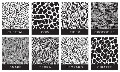 Seamless animal pattern. Black and white print. Cheetah, Cow, Tiger, Crocodile, Snake, Zebra, Leopard, Giraffe. Vector texture.  © lettett