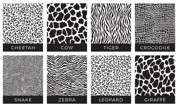 Seamless animal pattern. Black and white print. Cheetah, Cow, Tiger, Crocodile, Snake, Zebra, Leopard, Giraffe. Vector texture. 
