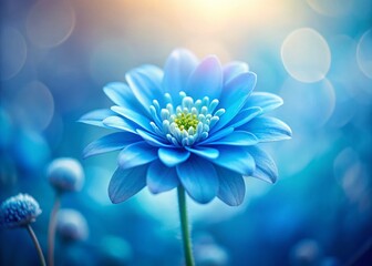 Delicate Blue Flower, Soft Focus Background - Nature Photography Stock Image
