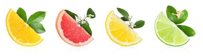Citrus fruits slices and plant branches isolated on white, set