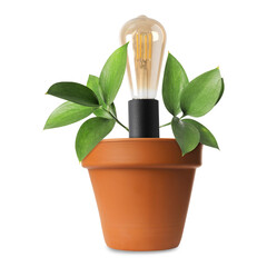 Light bulb and plant with leaves growing in flowerpot on white background. Eco-friendly...