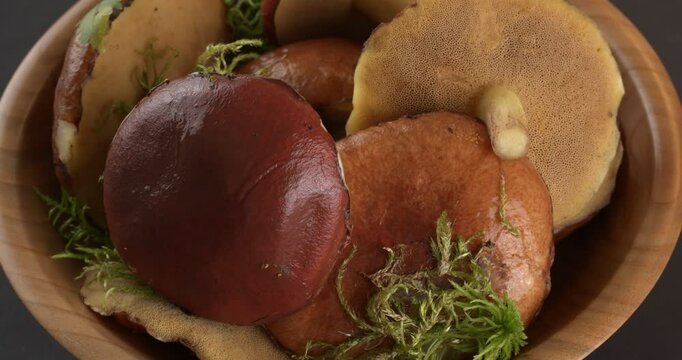 Suillus granulatus mushroom in a wooden bowl. Weeping bolete close-up footage on the rotating table.