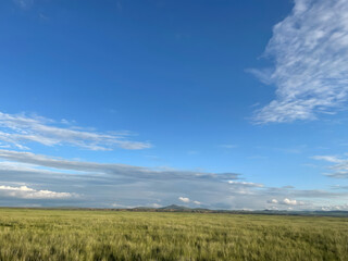 A beautiful Mongolian landscape