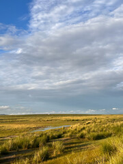 Obraz premium beautiful Mongolian landscape