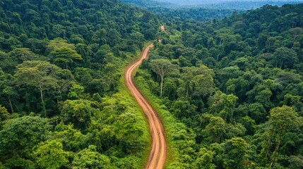 Aerial view of a winding forest trail surrounded by lush greenery showcasing vibrant colors and natural beauty ideal for text overlay