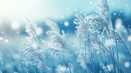 Dreamy winter landscape with soft blue tones showcasing frosted grass in a snowy rural setting creating a tranquil cold afternoon ambiance