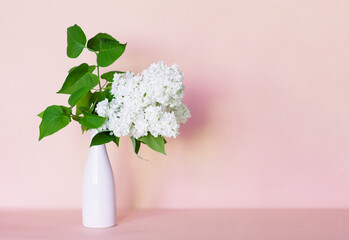 Branch of white lilac flowers in vase on pink background. Copy space. Mockup for congratulations