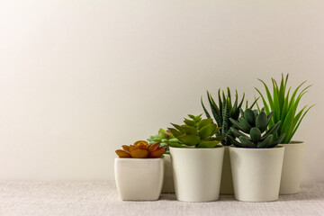 Indoor artificial plants, various succulents in pots. Succulents in white mini-pots. Ideas for home...