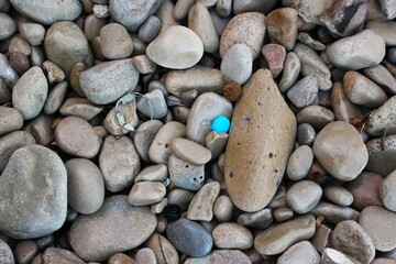 beach pollution with plastic waste