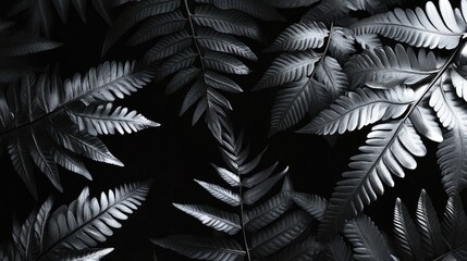 Monochrome close-up of silver fern leaves creating a textured botanical background in shades of grey and black.