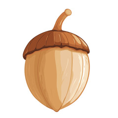 Vector acorn, oak fruit isolated on a white background. Illustration for autumn design, textile, children's playroom decoration or greeting card, Halloween. Colorful acorns