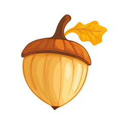 Vector acorn, oak fruit isolated on a white background. Illustration for autumn design, textile, children's playroom decoration or greeting card, Halloween. Colorful acorns