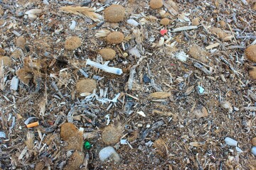 beach pollution with plastic waste