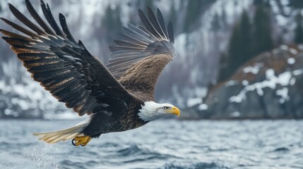 Steller's sea eagle in flight over icy waters showcasing its magnificent wingspan and striking colors in a winter landscape.