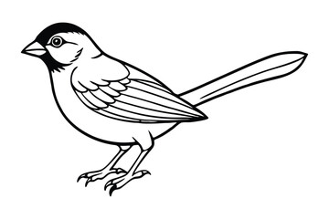 Line art of a Finch in a side view, showing its detailed wing and tail feathers.eps