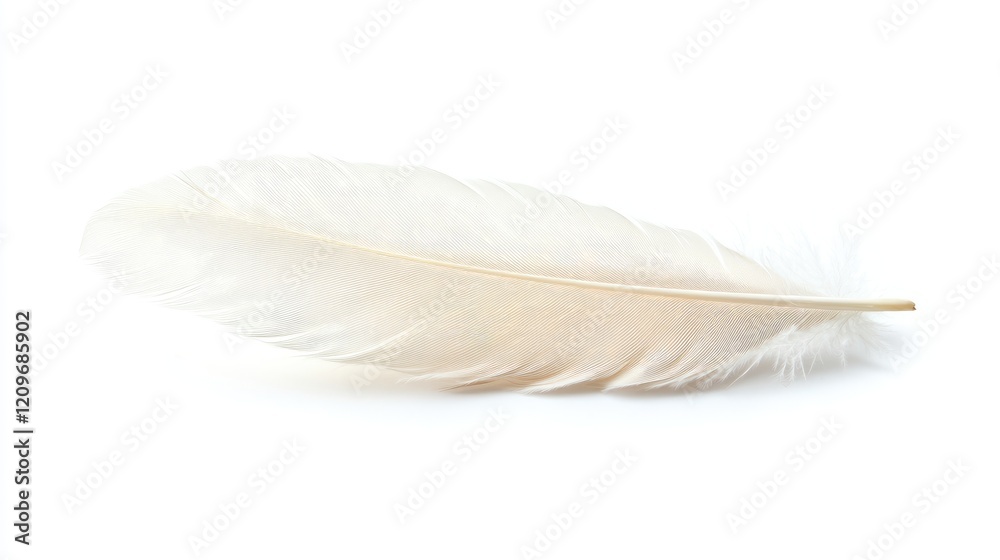 Poster delicate white feather isolated on clean background symbolizing purity and serenity