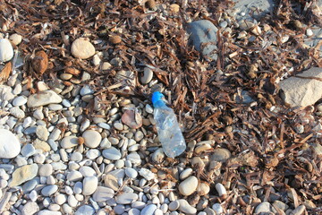beach pollution with plastic waste
