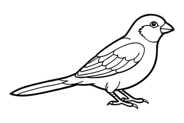 Line art of a Silverbill in a side view, showing its detailed wing and tail feathers.eps