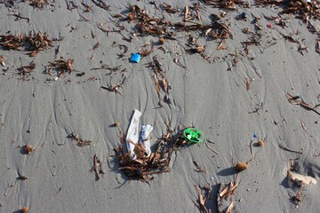 beach pollution with plastic waste