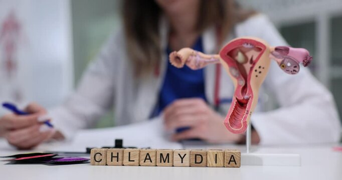A visual representation of the female reproductive system linked to Chlamydia education and awareness