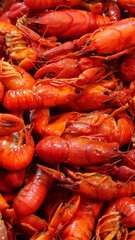 Vertical image of  Deep orange prawns stacked together close up.