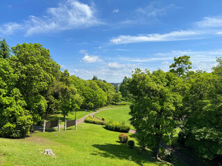 Fototapeta premium 天気の良い緑豊かな公園