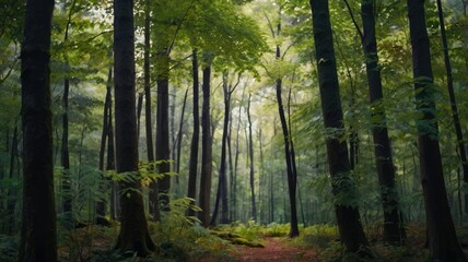 Obraz premium fern in the forest generative ai