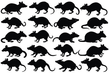 Farm Animal Rat Silhouette Vector Illustration