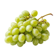 Green Grapes on Vine on transparent background.