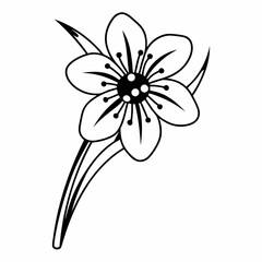 white flower on black background