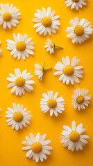 Fototapeta premium Chamomiles on yellow background, vertical illustration
