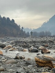 landscape in the morning