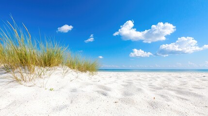 Sunny beach, dunes, ocean view, summer vacation postcard